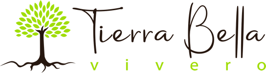 logo-area